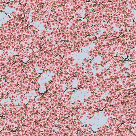 Cherry Blossoms 35 Pattern