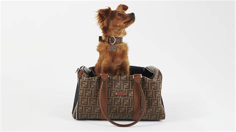 Fendi Unveils A Luxe New ‘pet Travel Line For Your Dog Robb Report