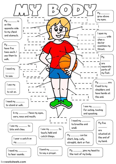 The Parts Of The Body Interactive And Downloadable Worksheet You Can Do The Exercises Human