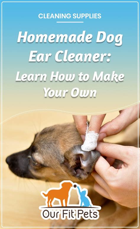 How to clean your dogs's ears in 7 easy steps. Homemade Dog Ear Cleaner: Learn How to Make Your Own | Dog ...