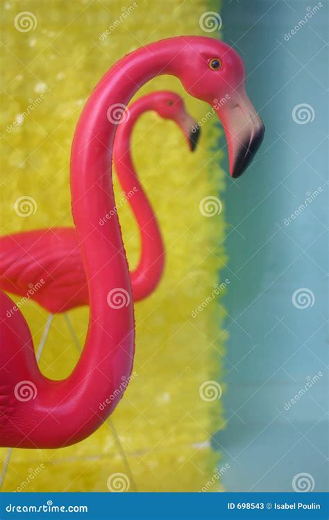 Pink Flamingos Lying On Sand At Zoo Surveillance Of Wild Birds In