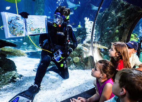 Sea Life Aquarium At Legoland® California Resort