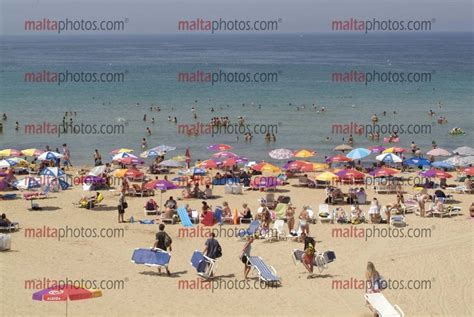 Beaches Golden Bay Sandy Summer Sunbathing Swimming Malta Photos