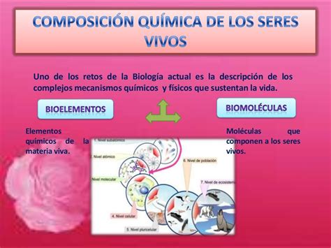 Diapositivas De La ComposiciÓn QuÍmica De Los Seres Vivos