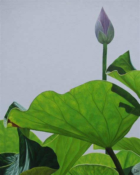 Frank Depietro Lotus No 7 Hard Edge Realist Oil Painting Of Lotus