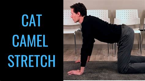 The cat camel is a basic exercise to improve breathing make sure to focus on inhaling during extension and exhaling during flexion. Cat camel exercise cat camel stretch cat and camel by ...