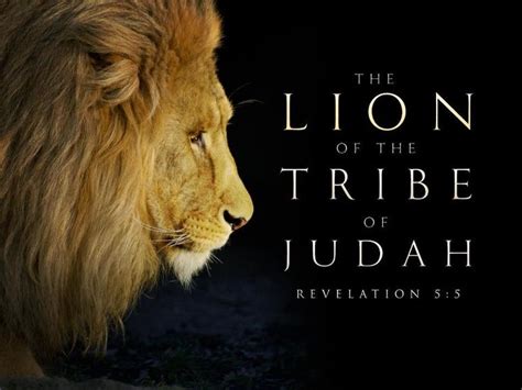30 Best Lion Tribe Of Judah Images On Pinterest Lion Of Judah Jesus