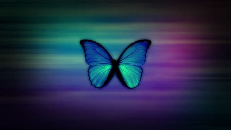 Blue Aqua Butterfly In Colorful Background Hd Girly Wallpapers Hd