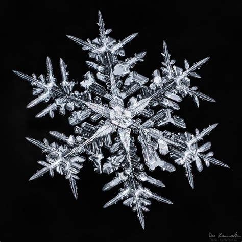 These Close Up Photos Of Snowflakes Reveal A Surprising Fact Im