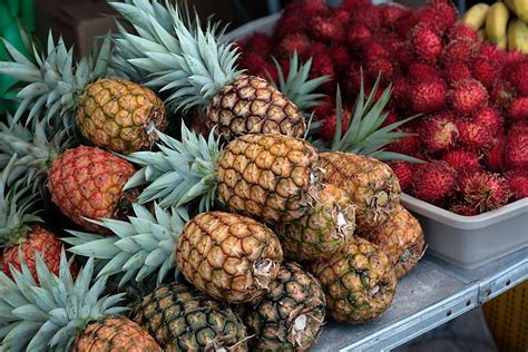 Pineapple Season in Hawaii 2021 - Rove.me