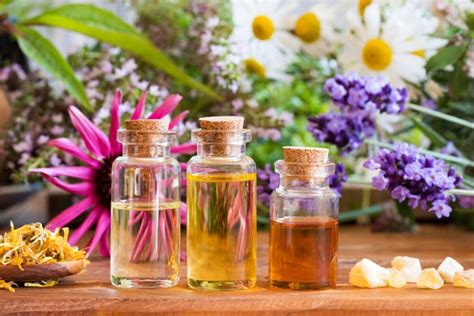 7 Most Common Types Of Essential Oils And Their Benefits