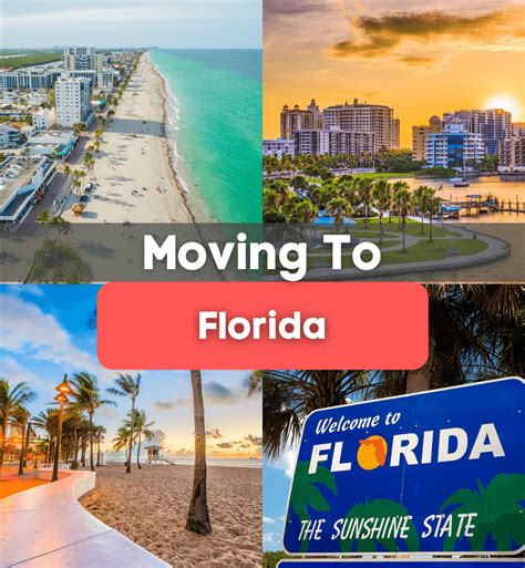 19 Things To Know Before Moving To Florida Living In Florida