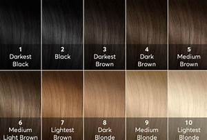 Pin By Jeana F On Hair Reference Hair Levels Hair Level Chart Hair