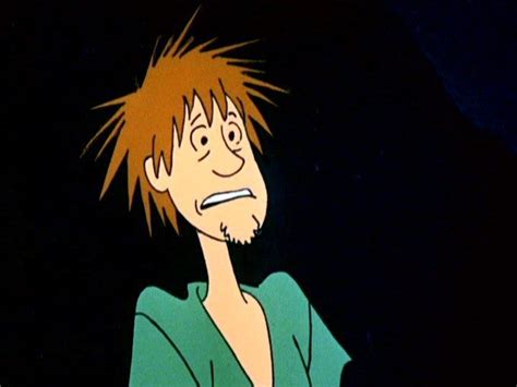 Image Result For Shaggy Scared Scooby Doo Memes Haha Funny Tumblr Funny