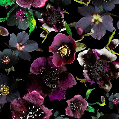 Midnight Floral Botanical Wallpaper By Terrarium Designs ...