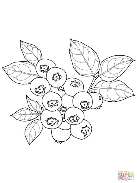 Blueberry branch coloring page | free printable coloring pages. Blueberry Muffin Coloring Pages Coloring Pages