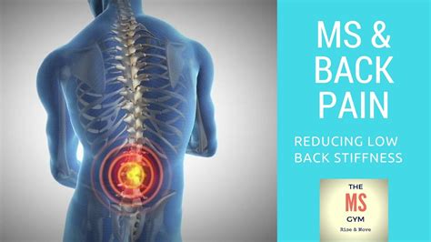 Exercising With Ms Reducing Low Back Stiffness Youtube