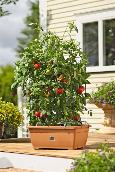 Tomato Planter All In One Tomato Success Kit Gardeners Supply