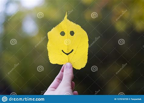 Autumn Leaf Emoji Smiley In A Hand Stock Image Image Of Postcard