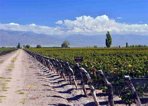 The Patagonia And Mendoza Argentina Wine Regions In Stunning Photos