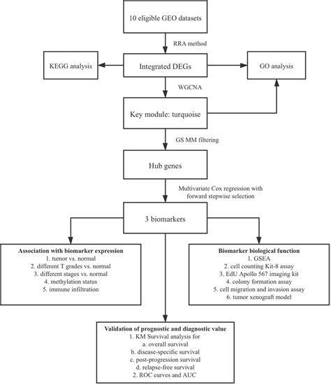 Flow Chart Of Biomarker Identification And Validation Download