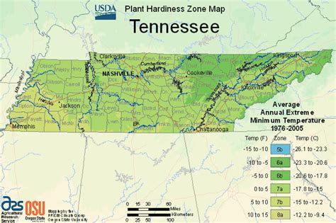 Disse er årlige ekstreme minima (et område tildeles en zone ved at tage den laveste temperatur registreret der i et givet år). USDA Map Of Plant Hardiness Zone In Tennessee