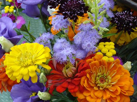 The Association Of Specialty Cut Flower Growers 2014 Growers School