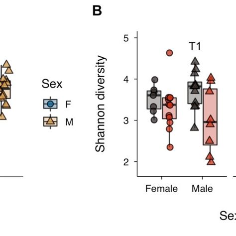 Sex Specific Microbial Alpha Diversity A Over Time And B For Download Scientific Diagram