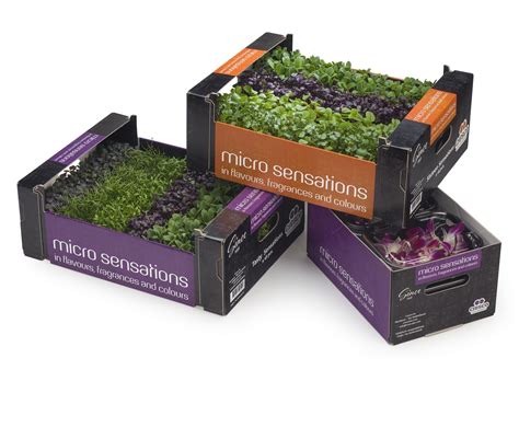 Packaging Microgreens Garden Microgreens Recipe Growing Microgreens
