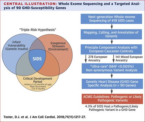 Cardiac Genetic Predisposition in Sudden Infant Death Syndrome 