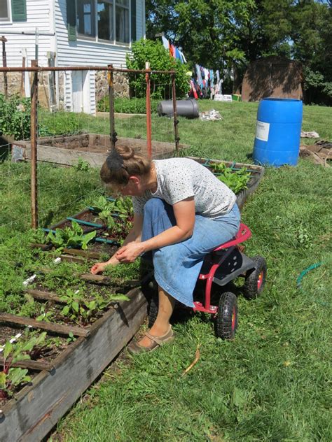 Adaptive Gardening Techniques For Gardeners With Disabilities Hgtv