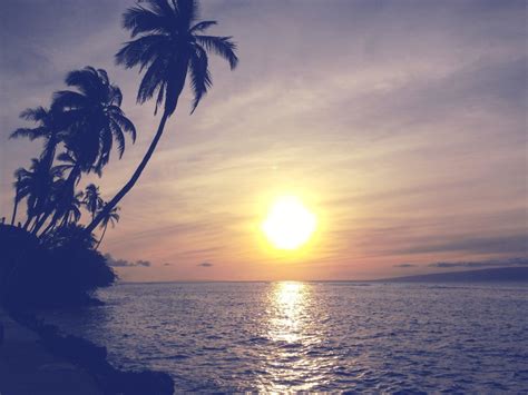 Free Picture Sunset Sun Beach Dawn Ocean Water Tropical Island Sky