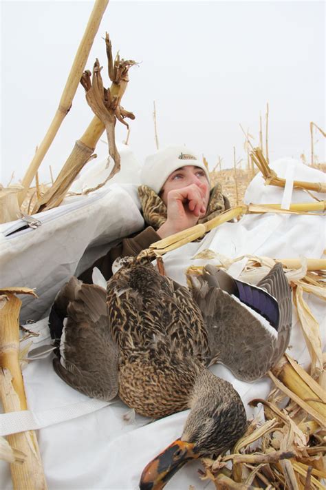 Dead Hens Dont Lay Eggs Should Hunters Shoot Female Duck Wildfowl