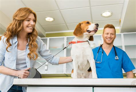 Pet Hospital Answers 4 Pet Spaying And Neutering Faqs Wailuku Pet Clinic