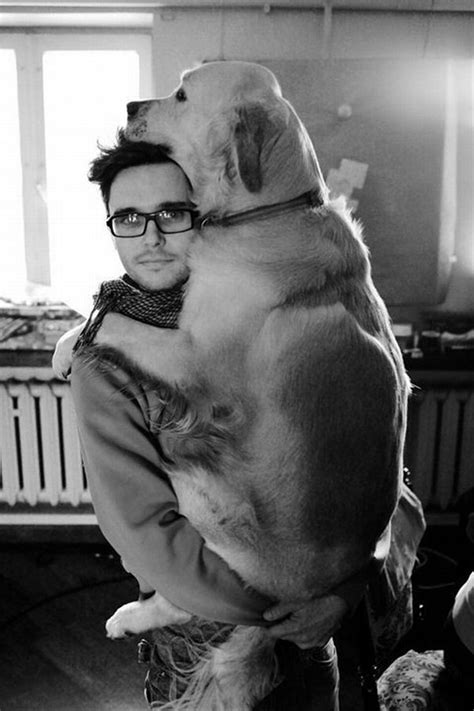 26 Dogs Hugging Their Humans Bored Panda