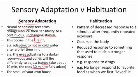 Sensory Adaptation V Habituation Youtube