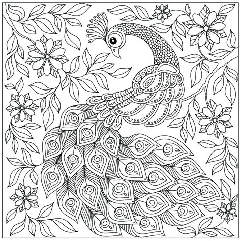 We have happy children and happy mother. Peacocks to print - Peacocks Kids Coloring Pages