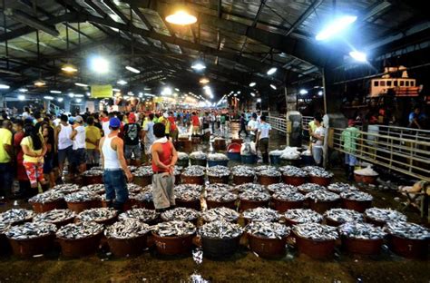 Navotas Fish Port Fish Philippines Port