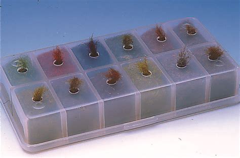 Dubbing Dispenser Empty 12 Compartment Crystal • Anglers Lodge