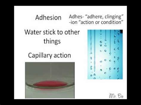 Though they sound to be similar ans. cohesion and adhesion - YouTube