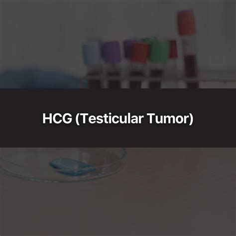 Hcg Testicular Tumor Wittmer Rejuvenation Clinic