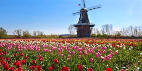 5 Things To Do This Spring In Holland