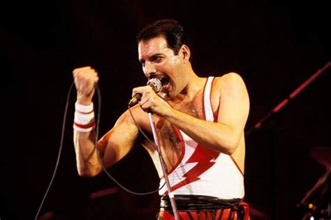 Did You Know Freddie Mercury The Man