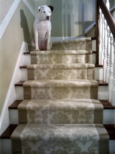 It can also be done in the same week as booking instead of the long process of picking out carpet and having it. Creative Carpets - Custom Carpets Binding Serging Sisal ...