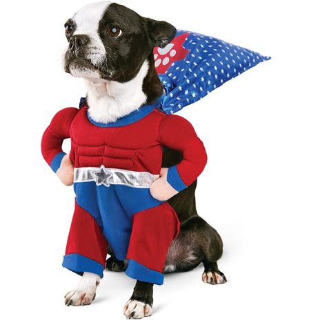 Top 95 Pictures Dogs In Halloween Costumes Images Completed