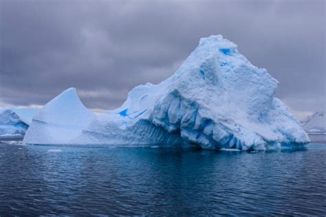 What Is An Iceberg Everything You Need To Know American Oceans