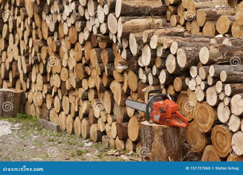 Chainsaw And Firewood Stack Stock Photo Image Of Winter Spruce 151727060