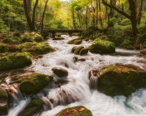 Forest Stream Wallpaper 2560x2048 692445 Wallpaperup