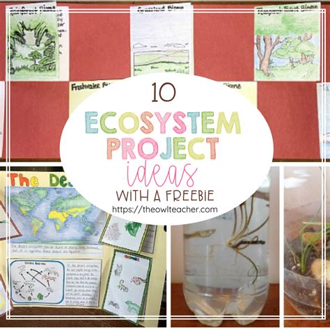 10 Ecosystem Project Ideas Ecosystems Projects Ecology Projects