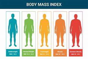 How To Calculate Body Mass Index Bmi